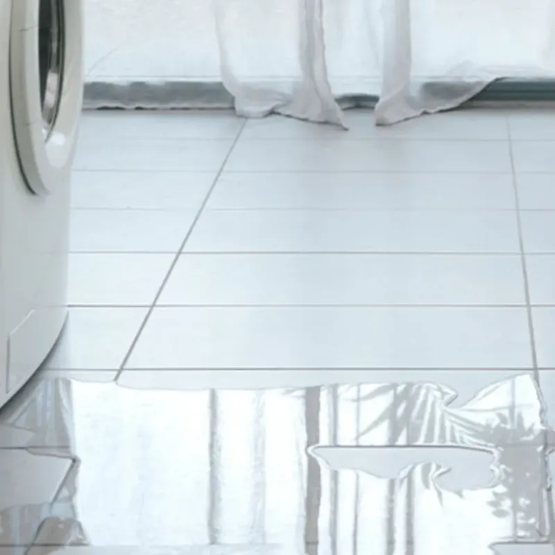 Appliance Leak Cleanup in Ringgold, LA